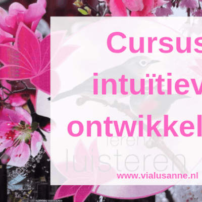Intuïtieve ontwikkeling (Volg je innerlijke kompas) Intuïtieve ontwikkeling (Volg je innerlijke kompas)